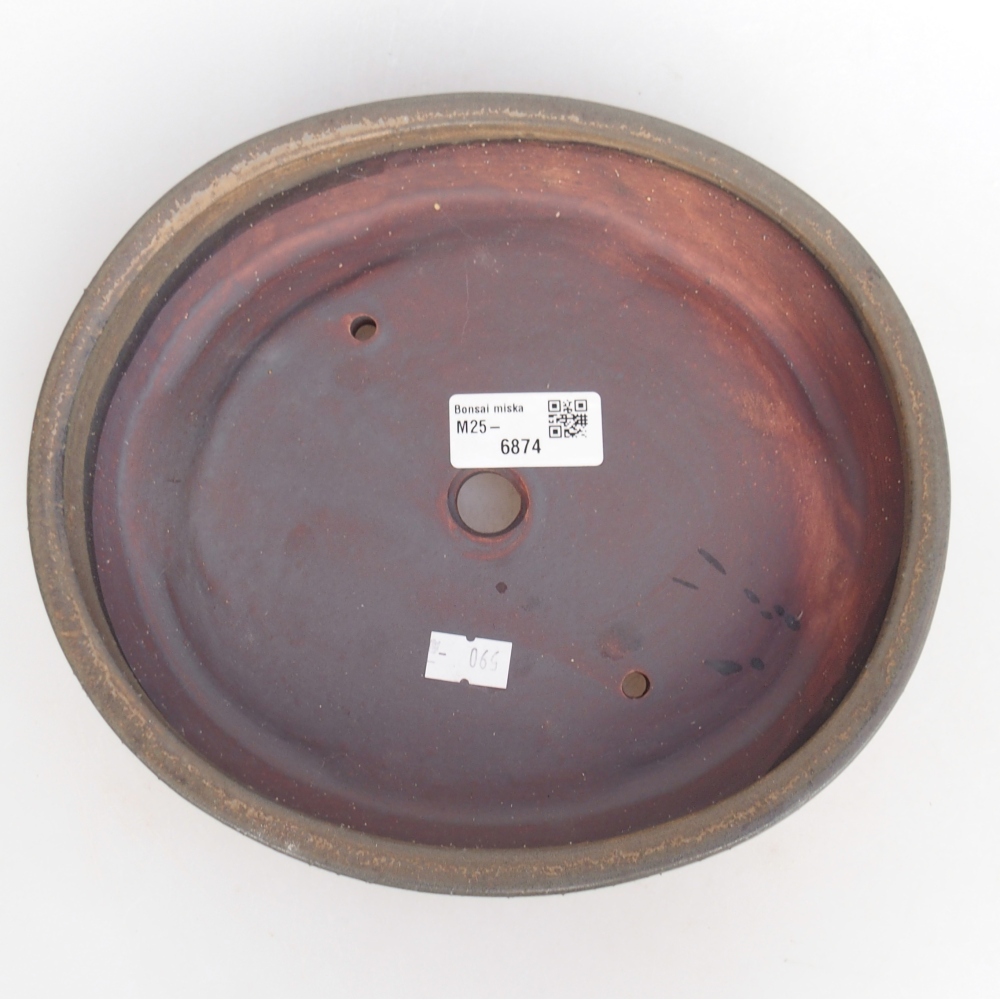 Ciotola bonsai in ceramica 22,5 x 20 x 4,5 cm, marrone