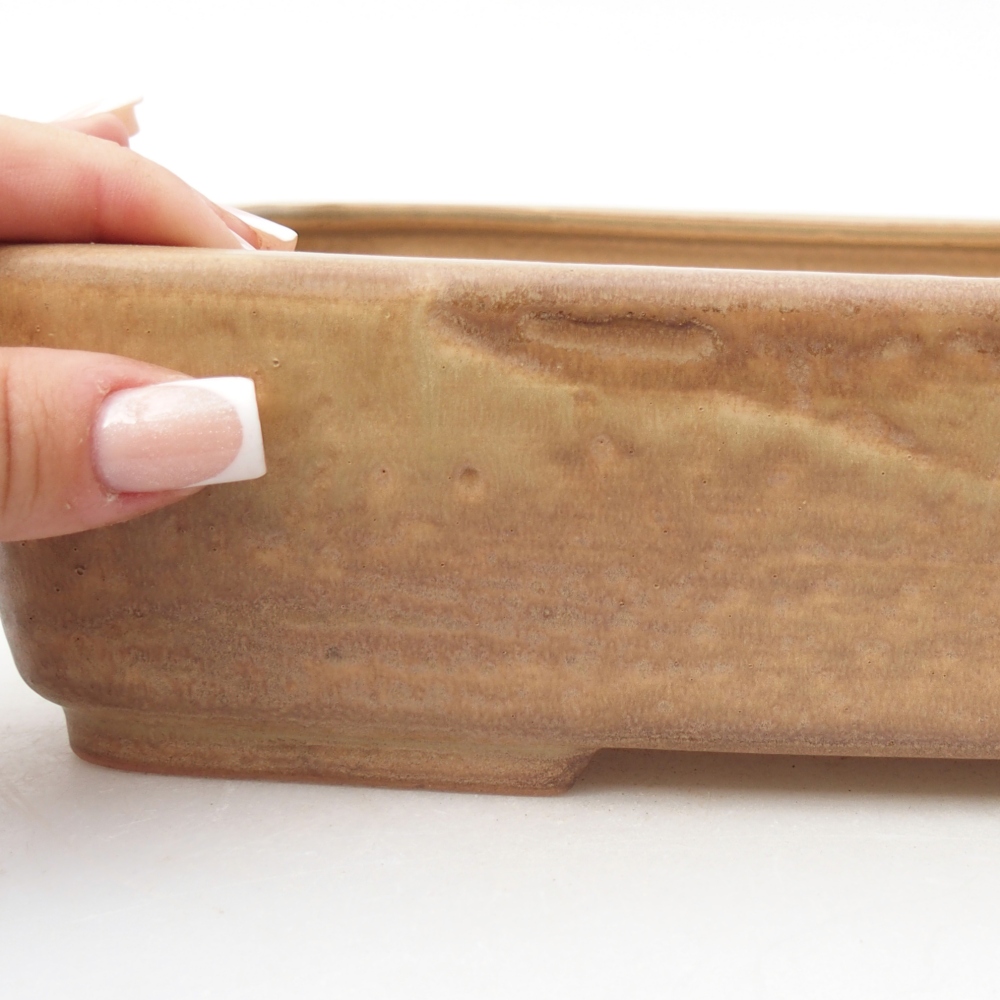 Ciotola per bonsai in ceramica 26,5 x 20,5 x 6,5 cm, colore beige