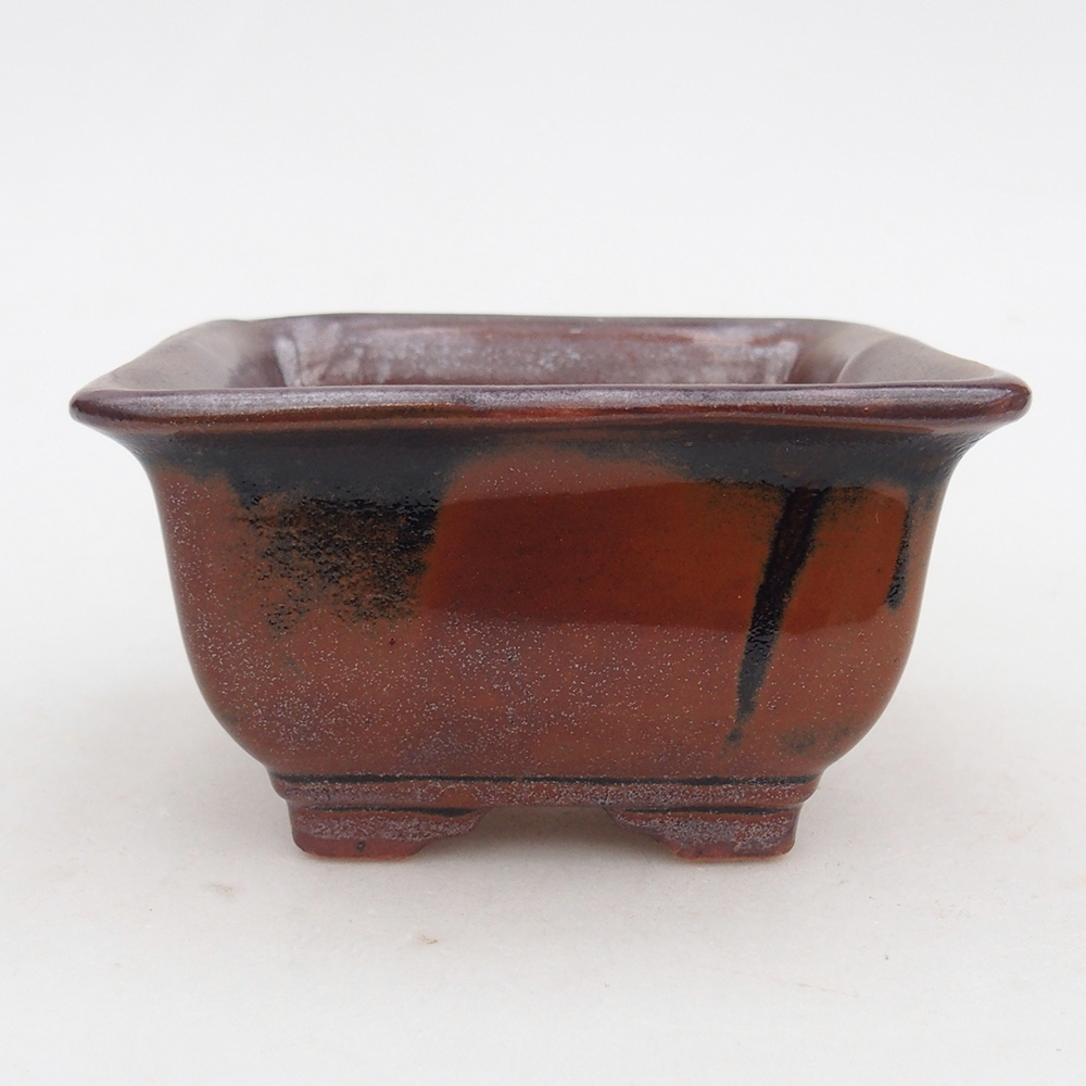 Ciotola per bonsai in ceramica 10 x 10 x 6 cm, bordeaux