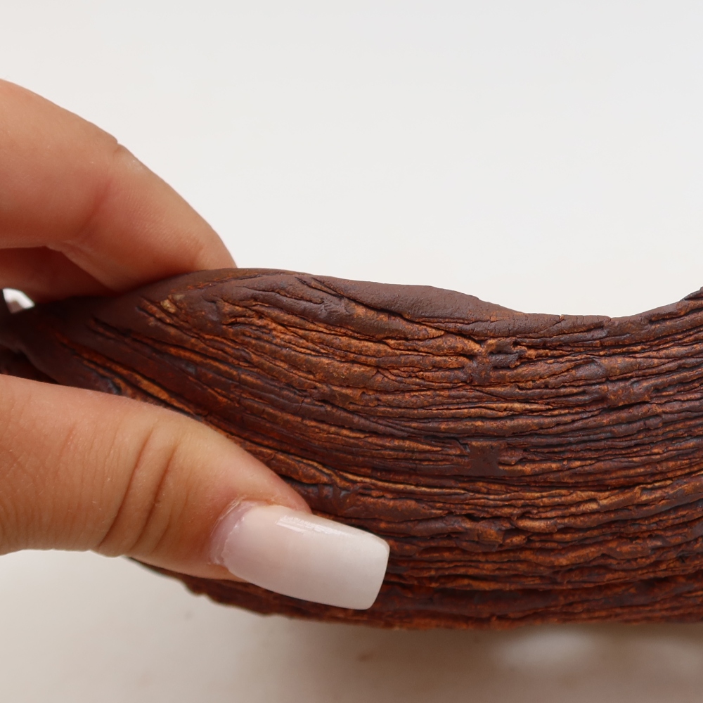 Conchiglia in ceramica  20 x 17 x 7,5 cm, colore marrone