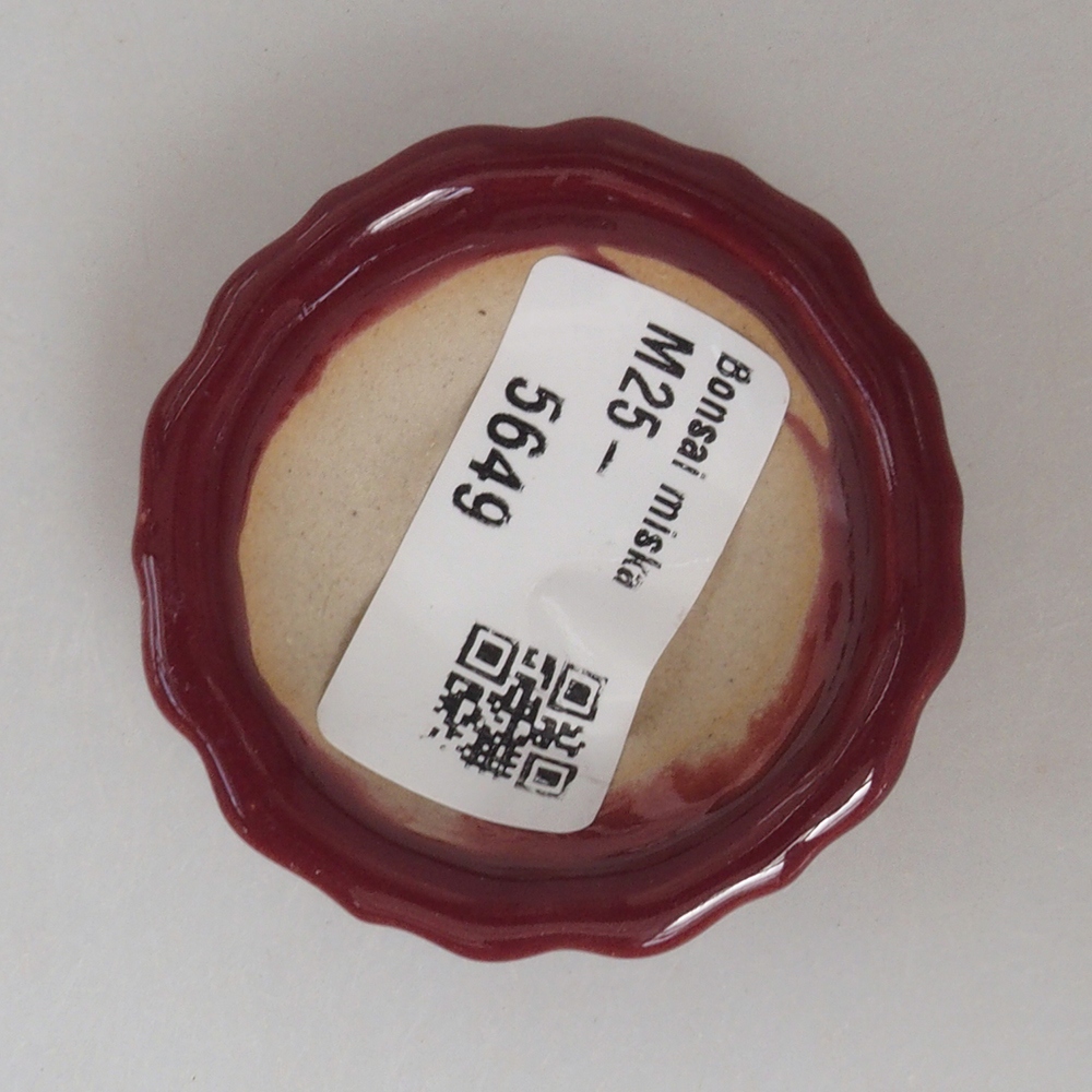 Mini bonsai 5 x 5 x 1,5 cm, colore bordeaux