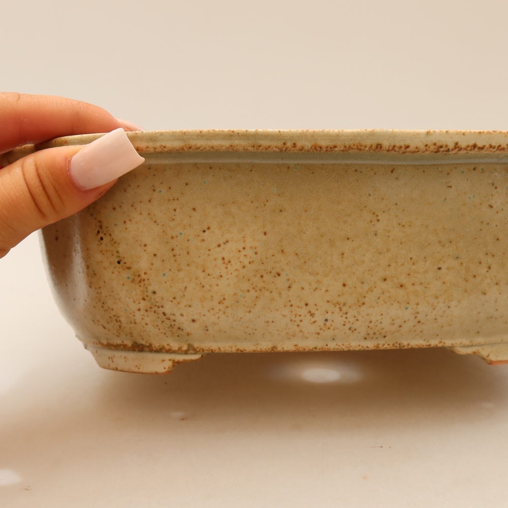 Ciotola bonsai in ceramica 22,5 x 17,5 x 7,5 cm, colore beige