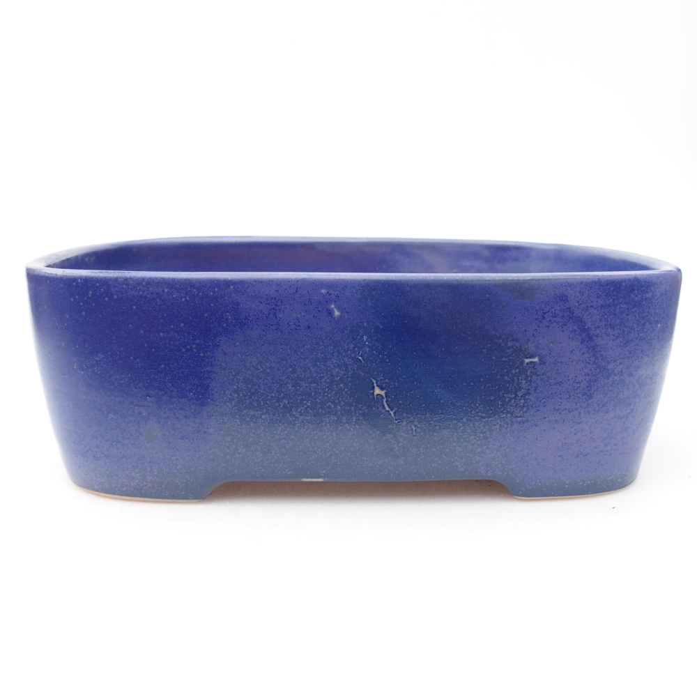 Ciotola bonsai in ceramica 23 x 18 x 7,5 cm, colore blu