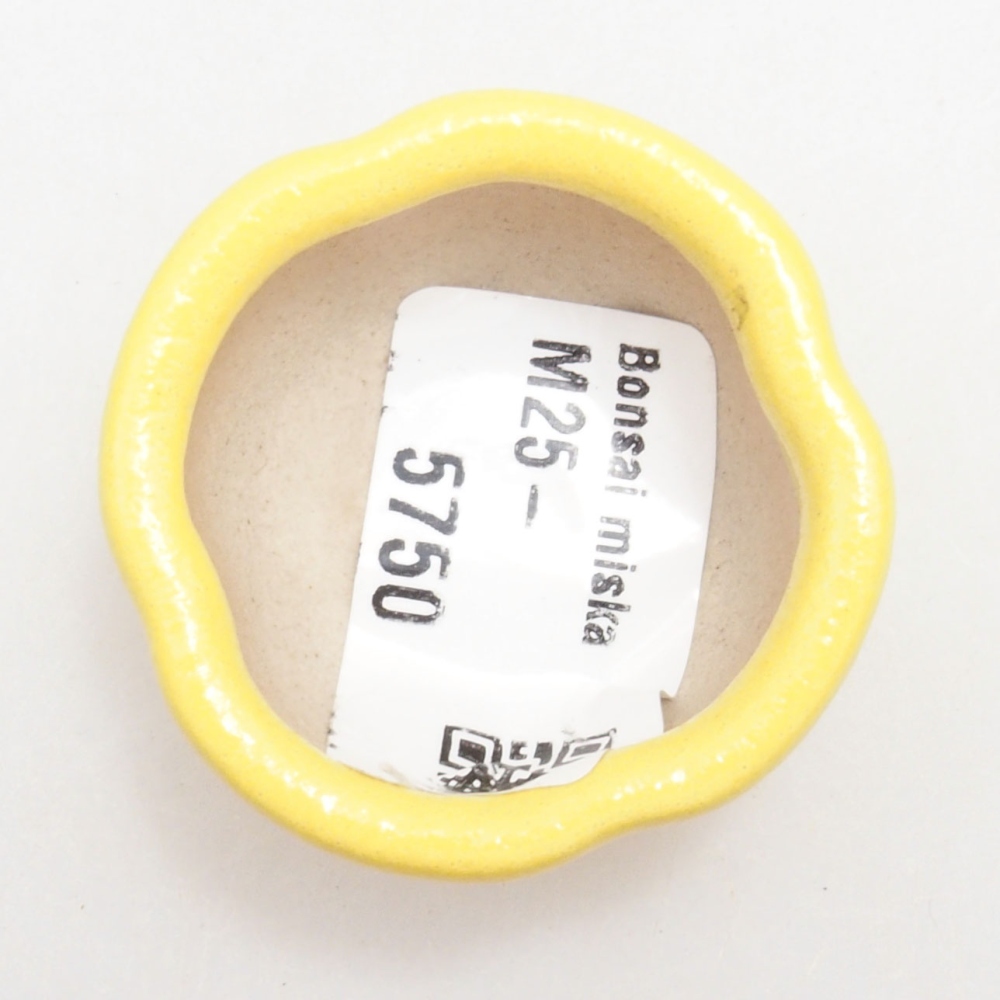 Ciotola per bonsai in ceramica 4 x 4 x 2 cm, giallo