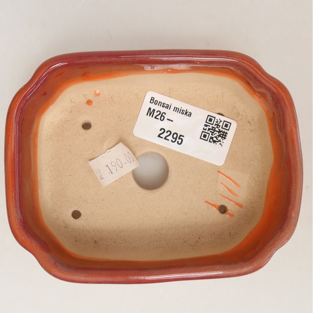 Vaso da bonsai in ceramica 10,5 x 8 x 4 cm, colore arancione