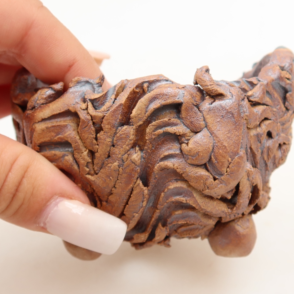 Conchiglia in ceramica 9 x 8,5 x 6 cm , colore marrone