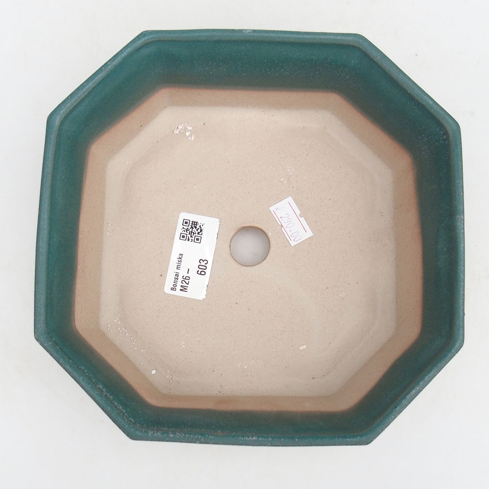 Ciotola bonsai in ceramica 17,5 x 17,5 x 6 cm, colore blu