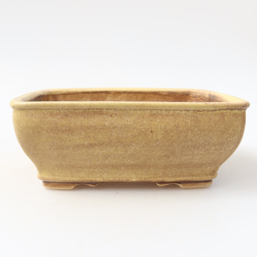 Vaso da bonsai in ceramica 15 x 12,5 x 5,5 cm, colore giallo