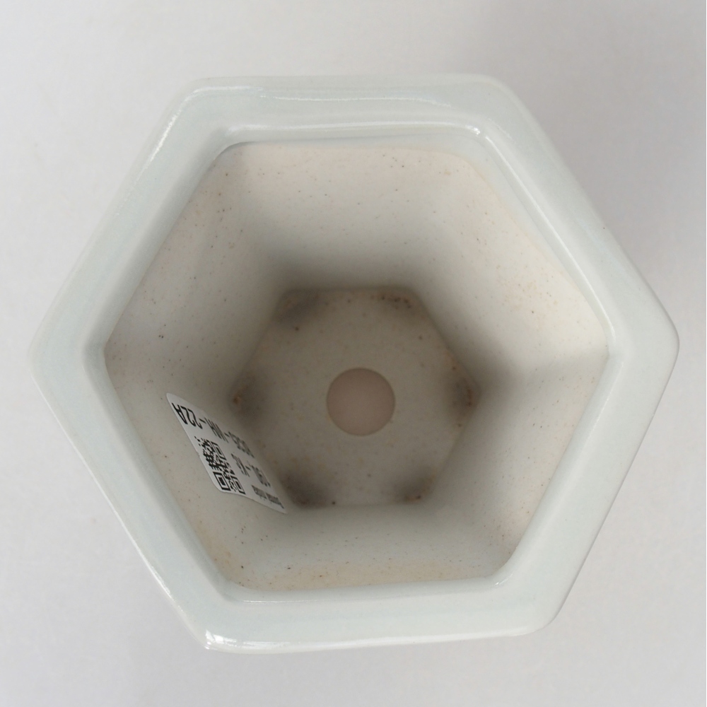 Ciotola per bonsai in ceramica 10 x 9 x 9 cm, colore bianco