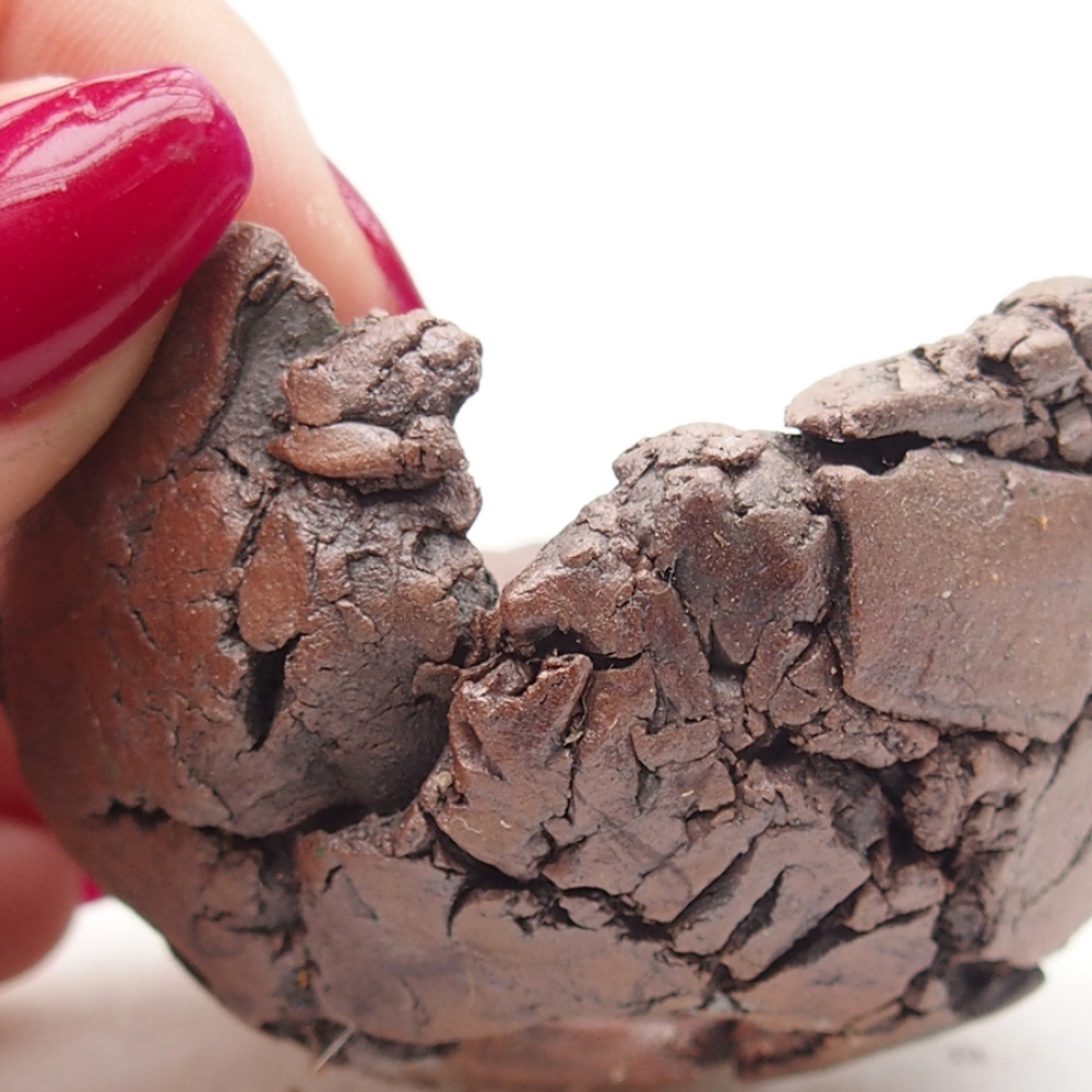 Conchiglia in ceramica 6 x 6 x 4 cm , colore marrone