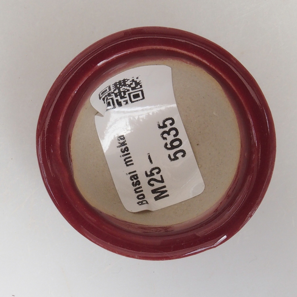 Ciotola per mini bonsai 4,5 x 4,5 x 2,5 cm, bordeaux