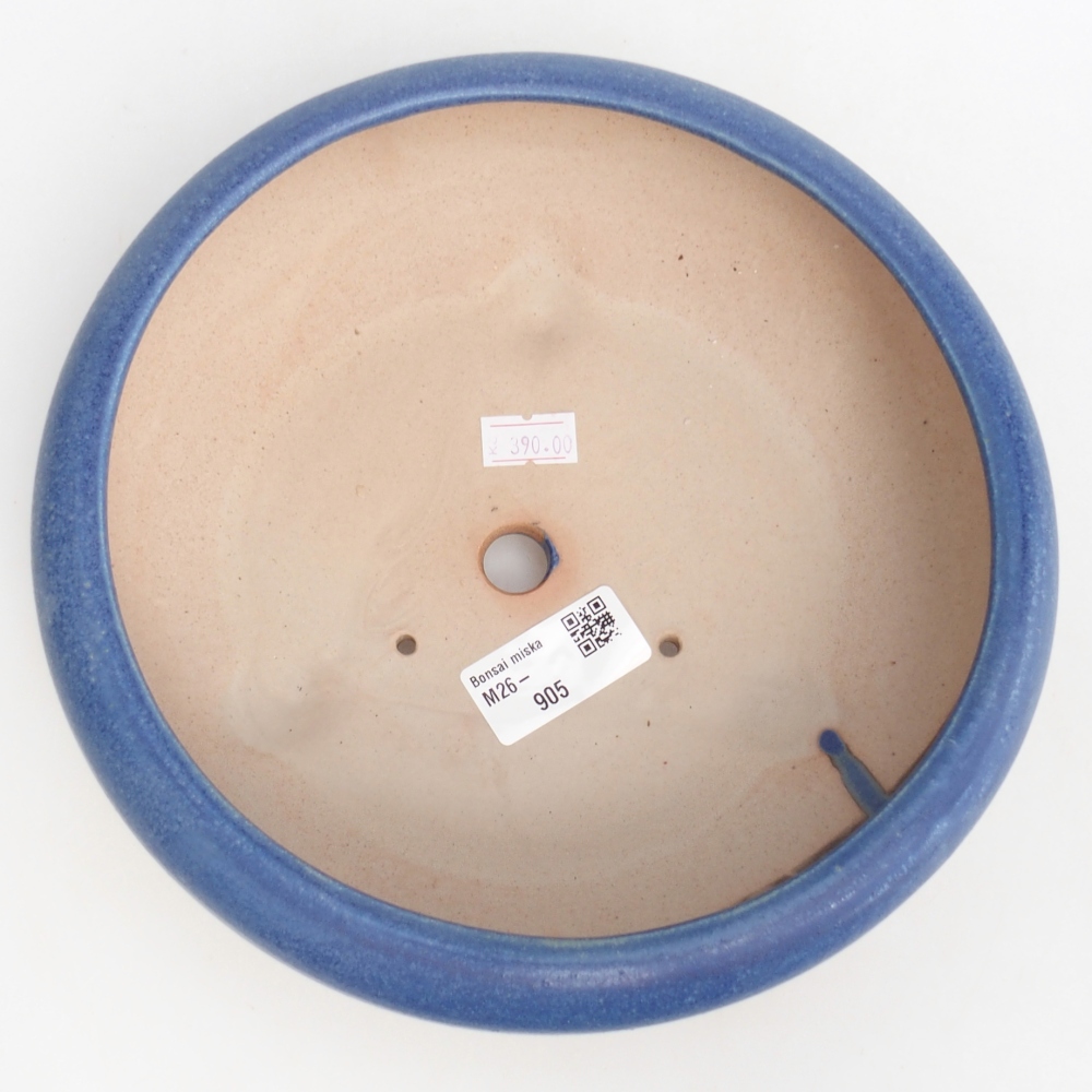 Ciotola bonsai in ceramica 21 x 21 x 7 cm, colore blu