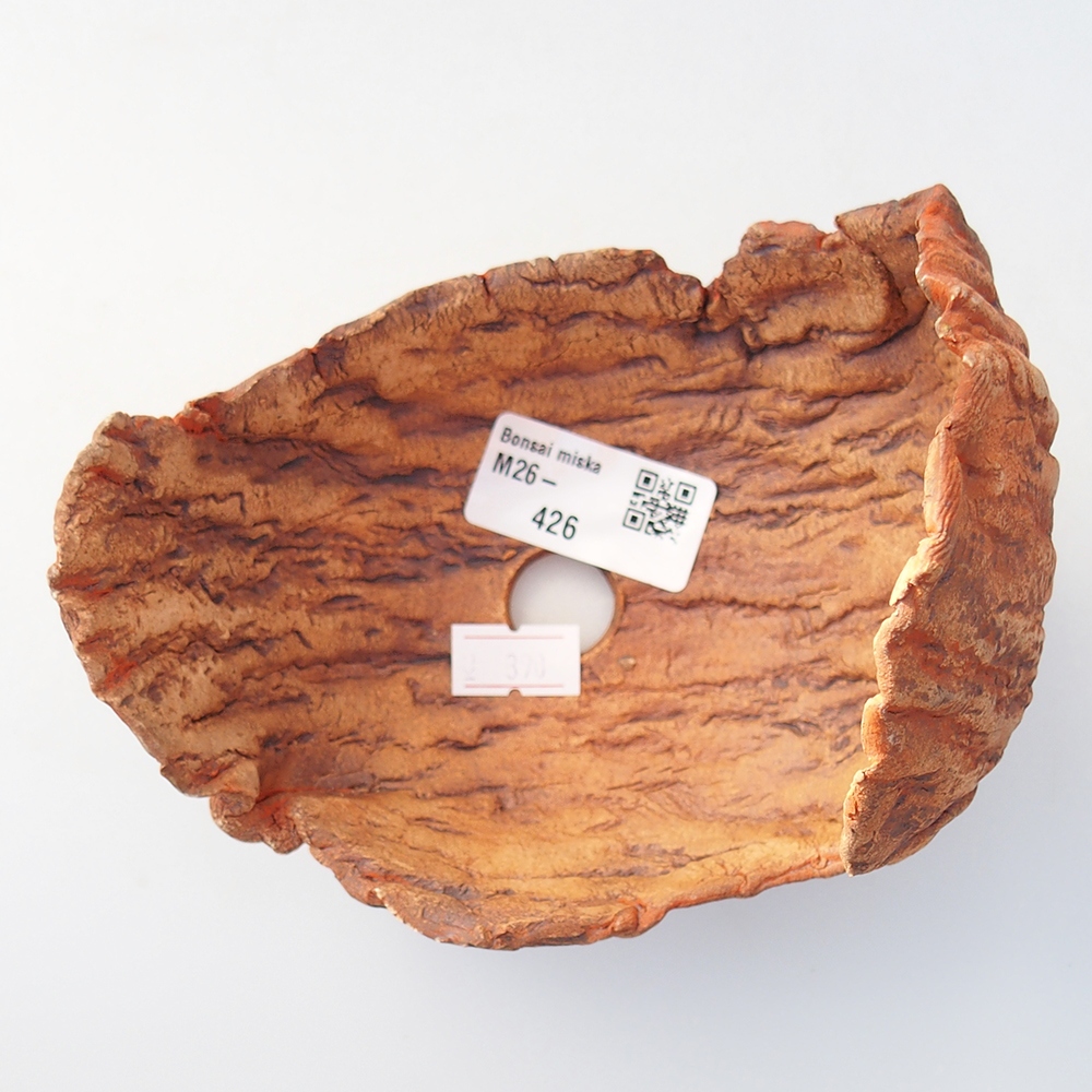 Conchiglia in ceramica 14 x 11 x 12,5 cm , colore arancione